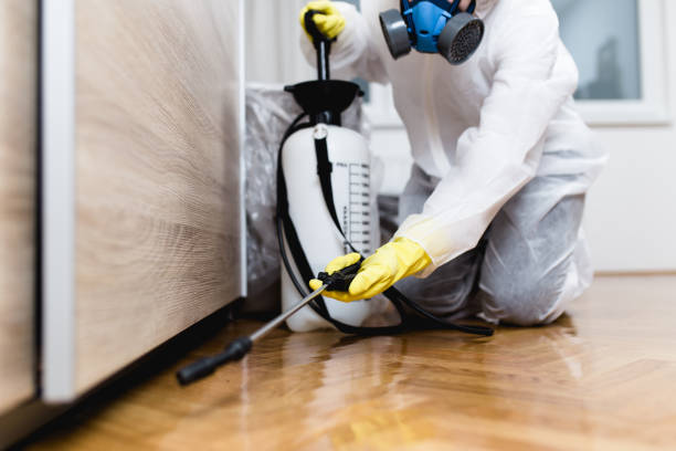 Pest Prevention Services in Goshen, CA