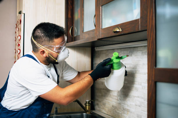 Best Ant Control Services  in Goshen, CA