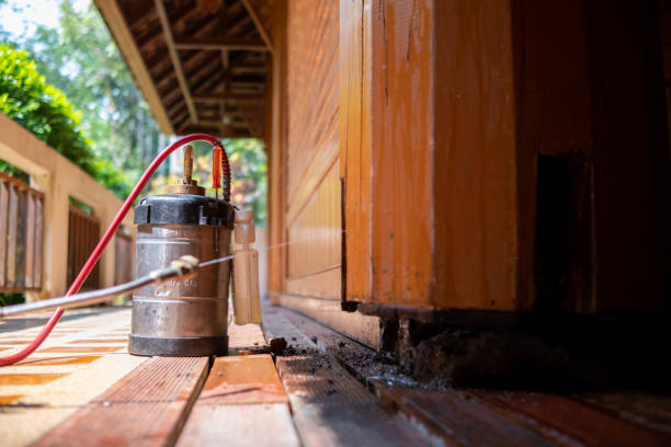 Best Insect Control  in Goshen, CA