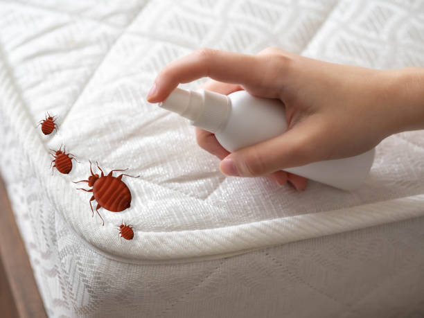 Best Best Pest Control Near Me  in Goshen, CA