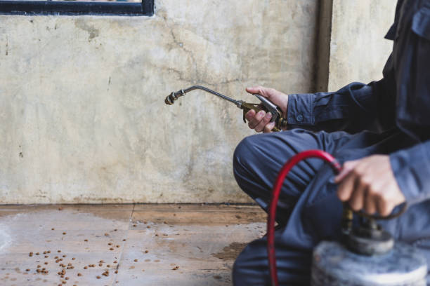 Best Flea Control Services  in Goshen, CA